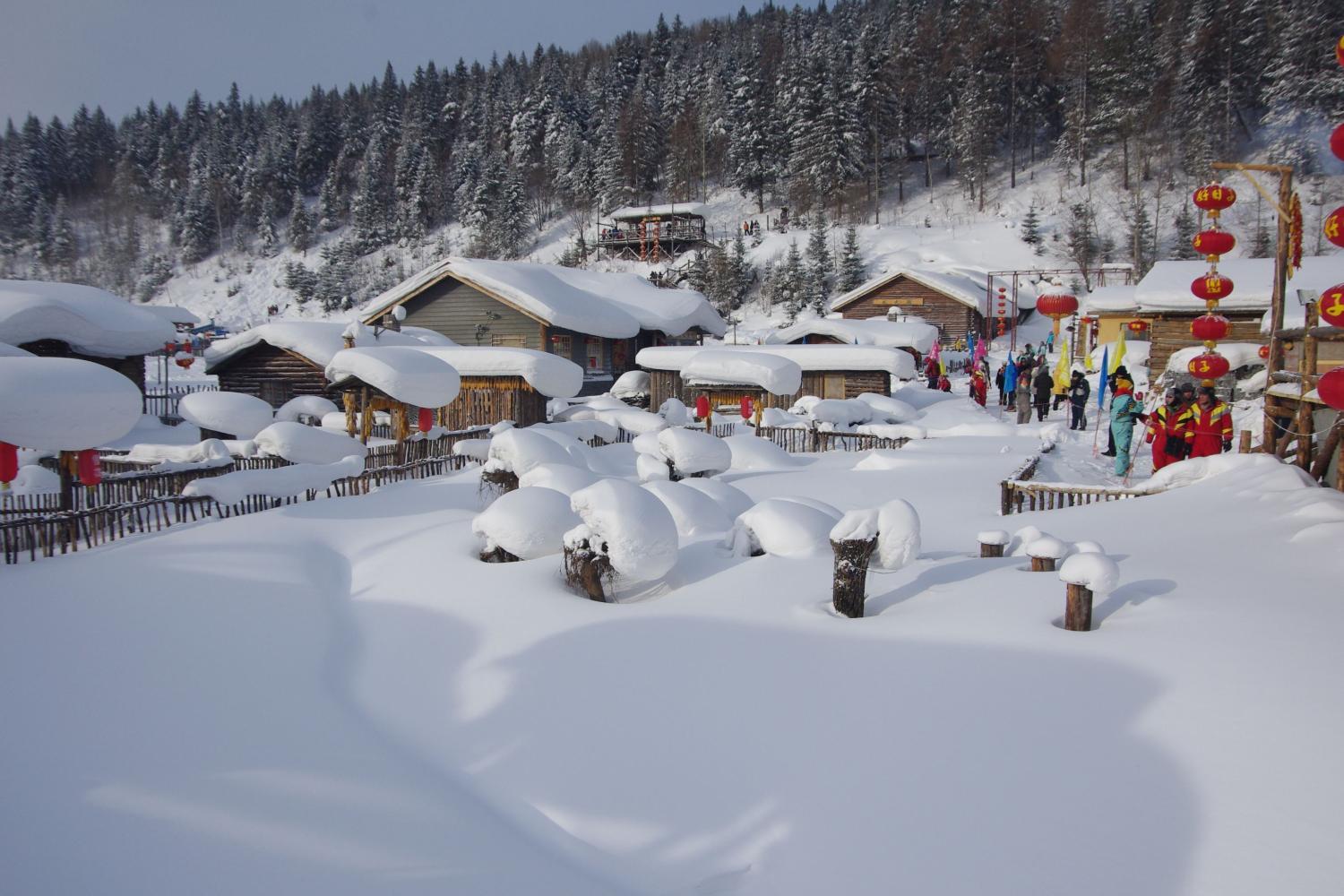 雪乡景区大年初三闭园传闻背后的真相探究