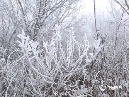 北京佛爷顶雪花纷飞开启冬日模式