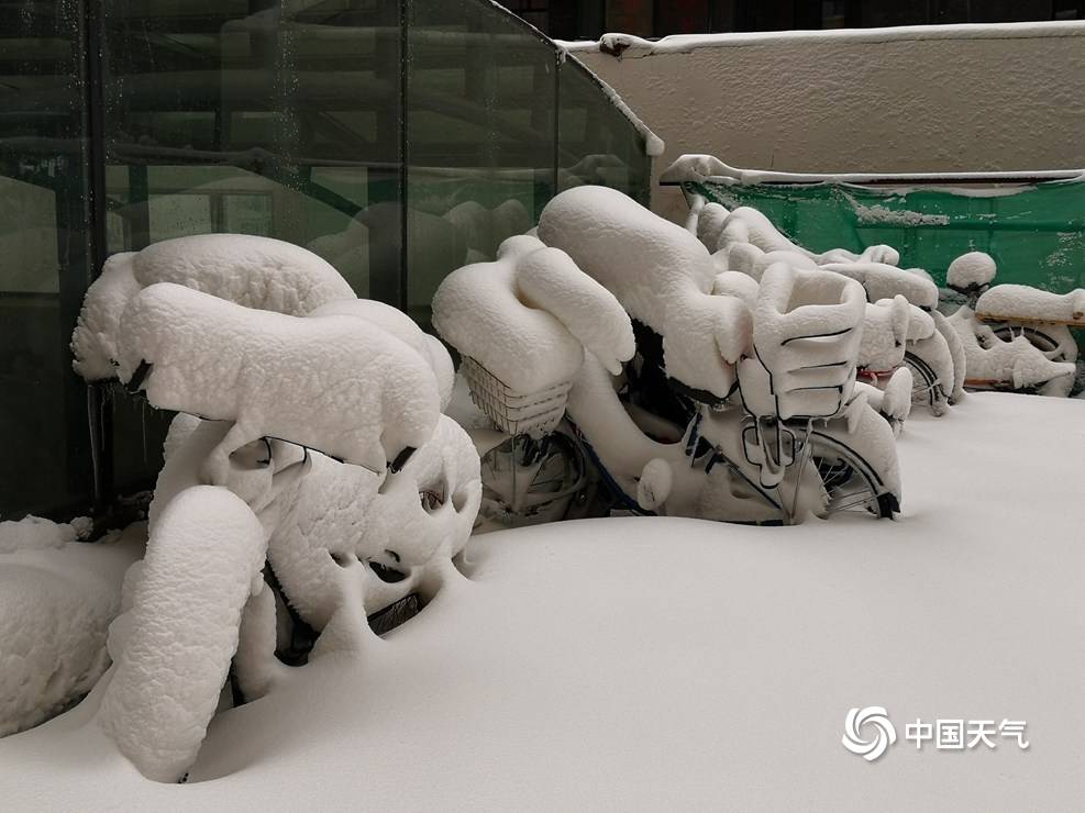 内蒙古草原骆驼雪雕奇观，自然奇迹与生态警示