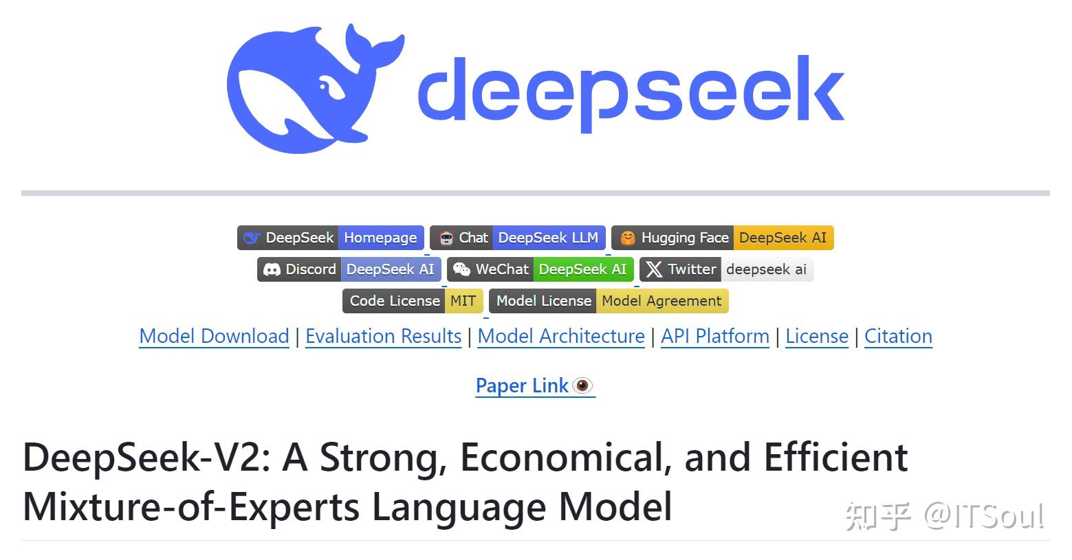 DeepSeek，颠覆巨擘的力量