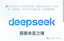 DeepSeek API服务充值暂停的相关探讨