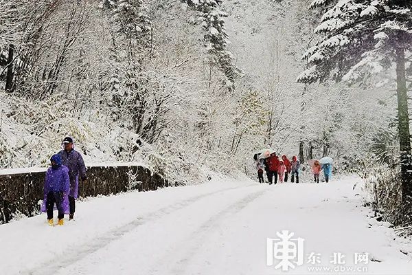 景区棉花造雪现象，反思与启示