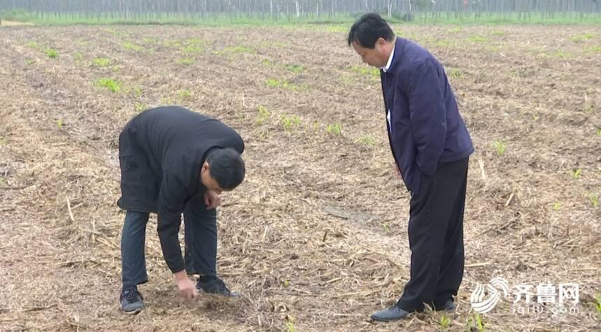 农田遭挖土售卖事件调查处理进展回应