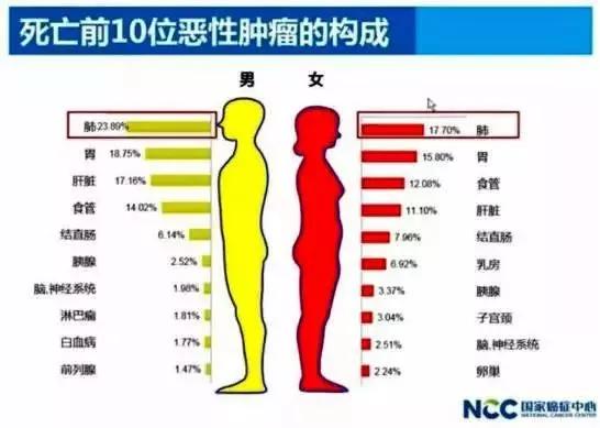 结节肿瘤高发研究，涵盖四类及以上肿瘤的深度分析