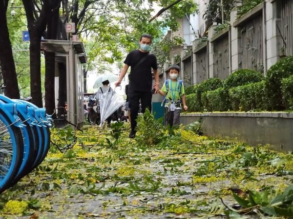 中央气象台发布多项预警，气象预警体系的重要性及应对之策