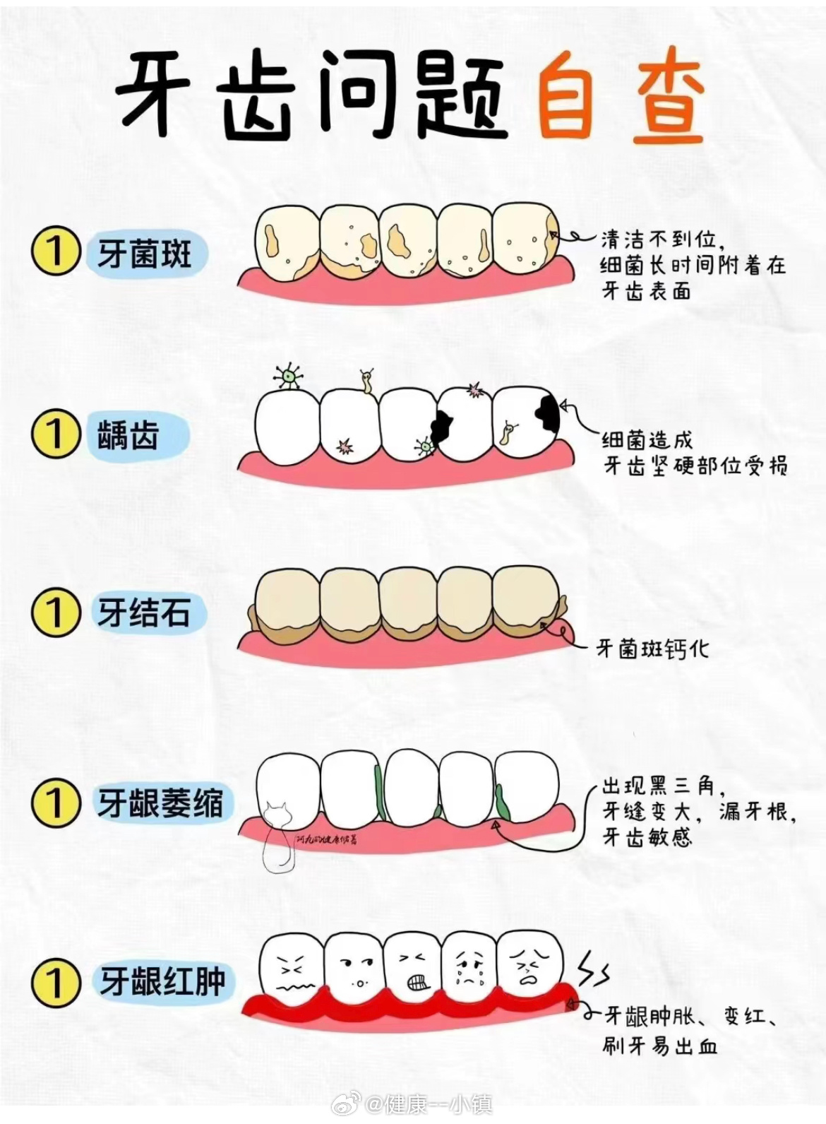 牙齿健康与整体健康的紧密关联解析