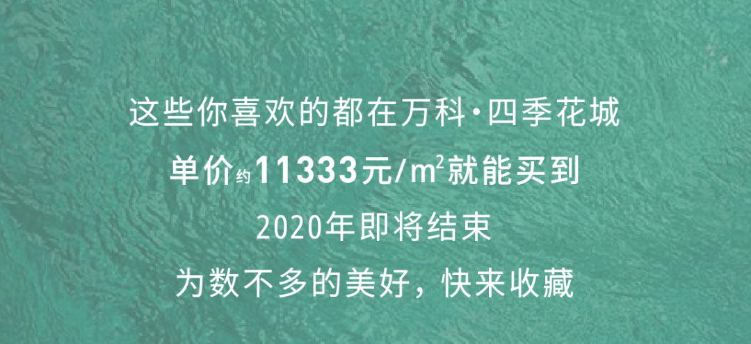 大理年轻人避世考研考公现象深度解读